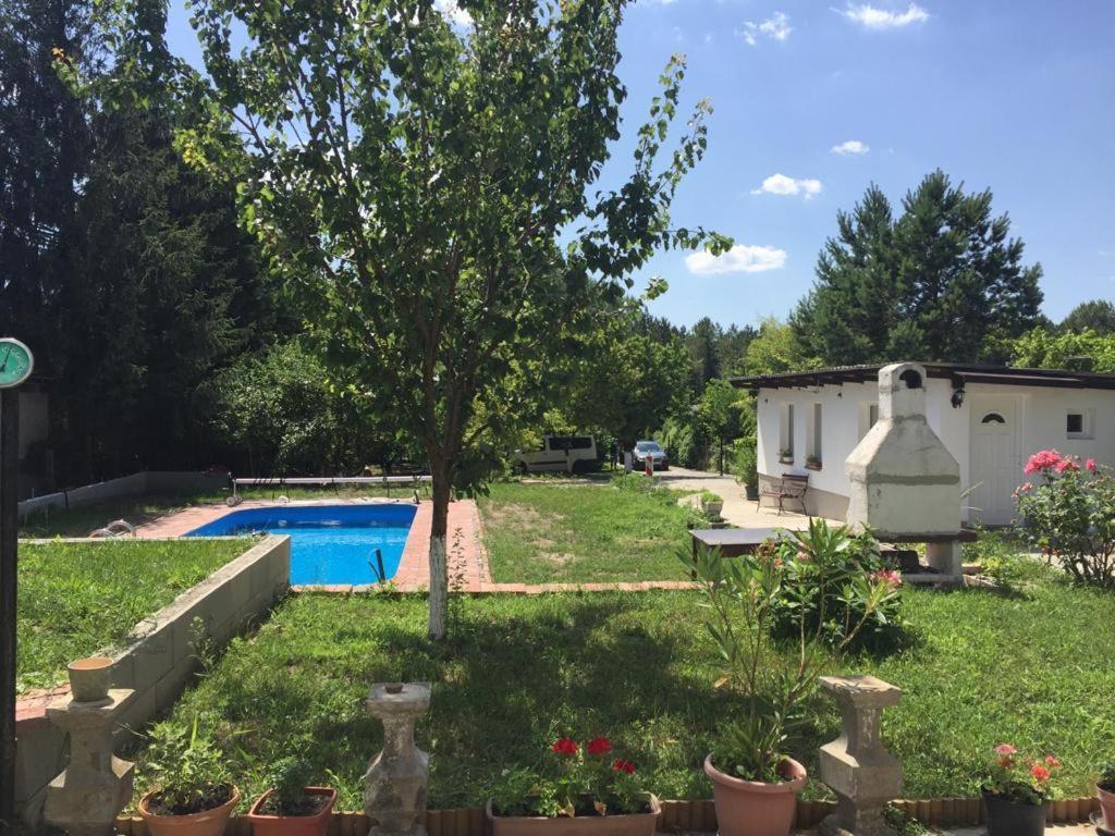 Piknik Studio Fertőrákos المظهر الخارجي الصورة